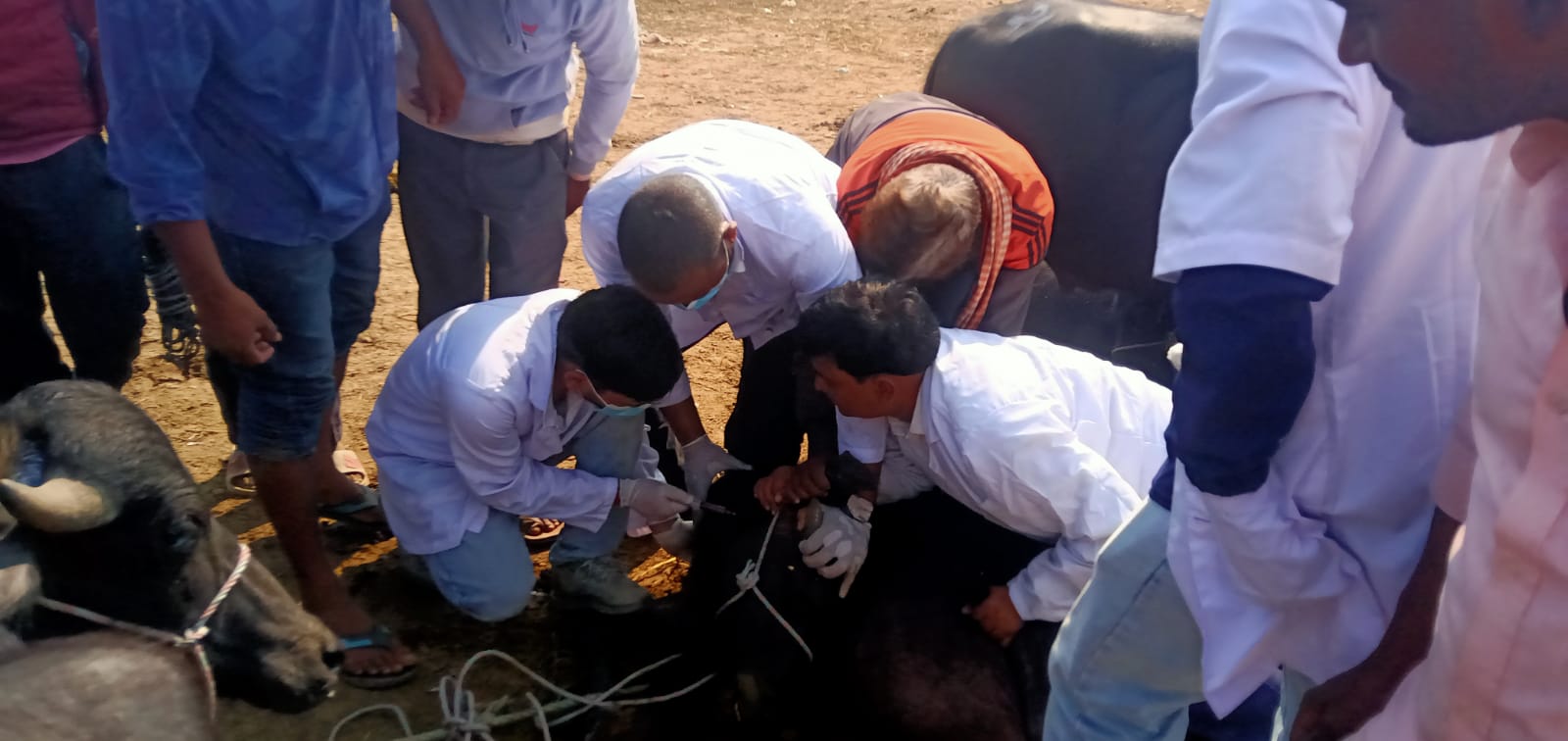 खोरेत रोग नियन्त्रणको लागि क्वारेन्टाईन कार्यक्रम अन्तर्गत नमुना संकलन कार्यक्रम